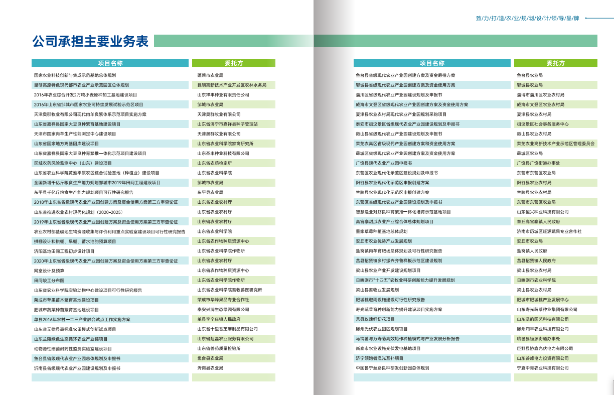 公司承擔(dān)主要規(guī)劃設(shè)計(jì)咨詢項(xiàng)目列表